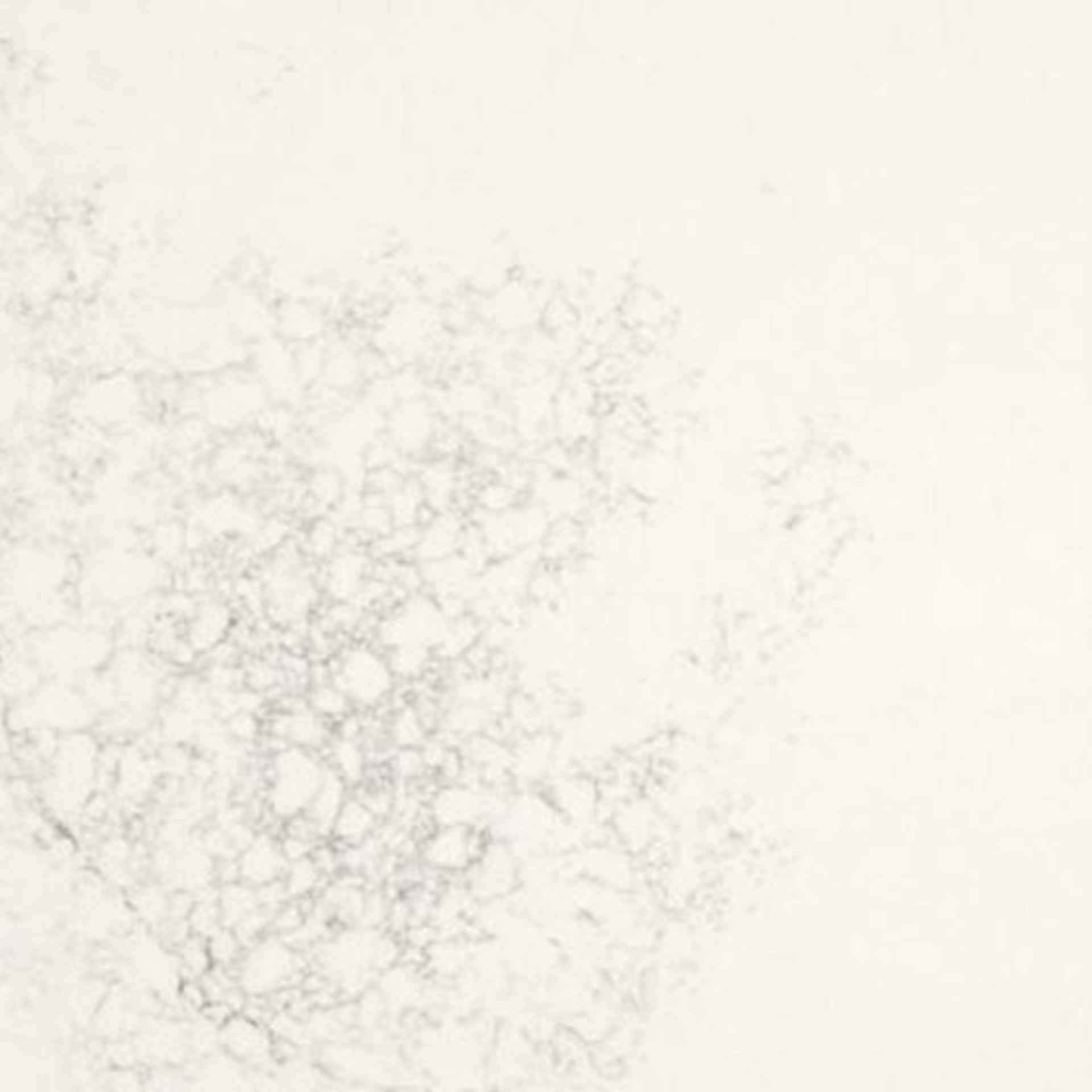 Caesarstone Empira White